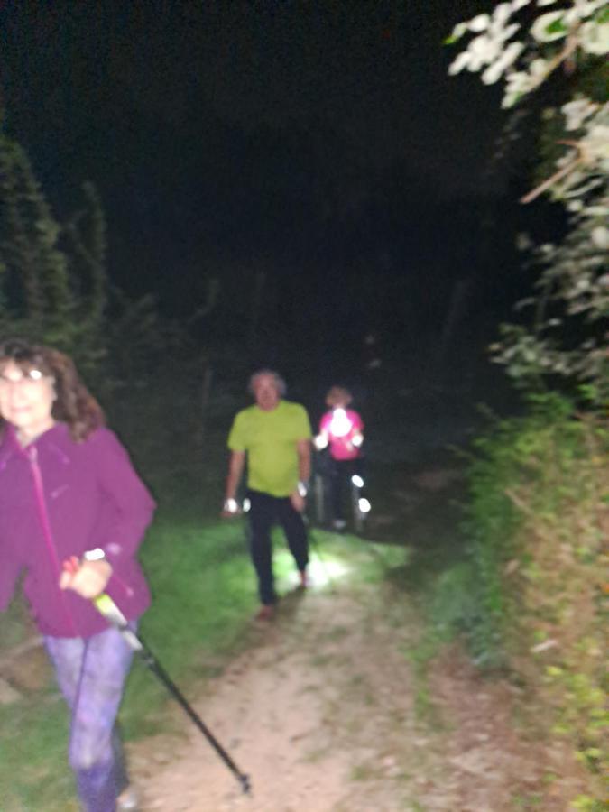 Locazione Turistica La Casetta Conegliano Exteriör bild